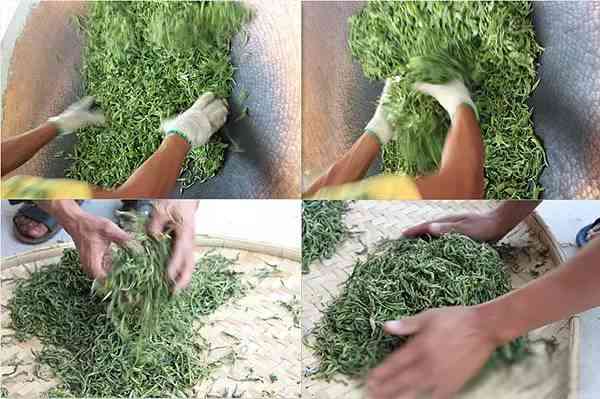 云南原生态雨林古树普洱茶专卖店官网 袋装茶的极佳选择